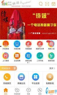 林州爆料新闻网站最新,聚焦民生热点，揭示社会现象